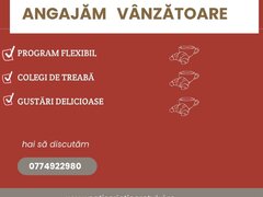 Vanzatoare sector 1 si 2